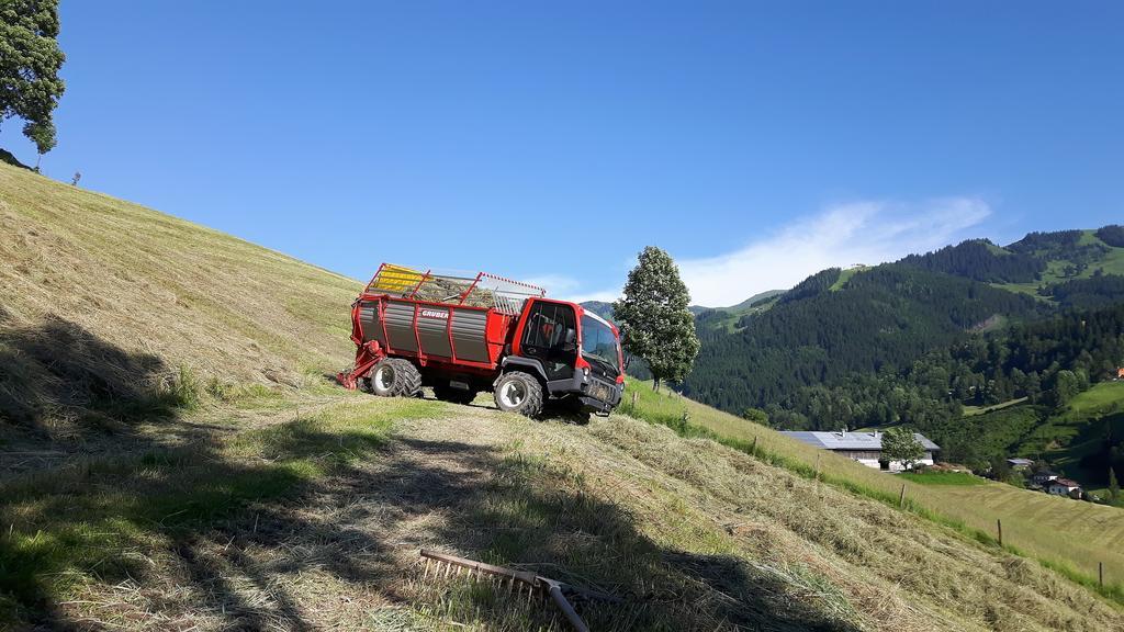 Bio-Bauernhof Hatzbauer Maria Alm am Steinernen Meer Exterior photo